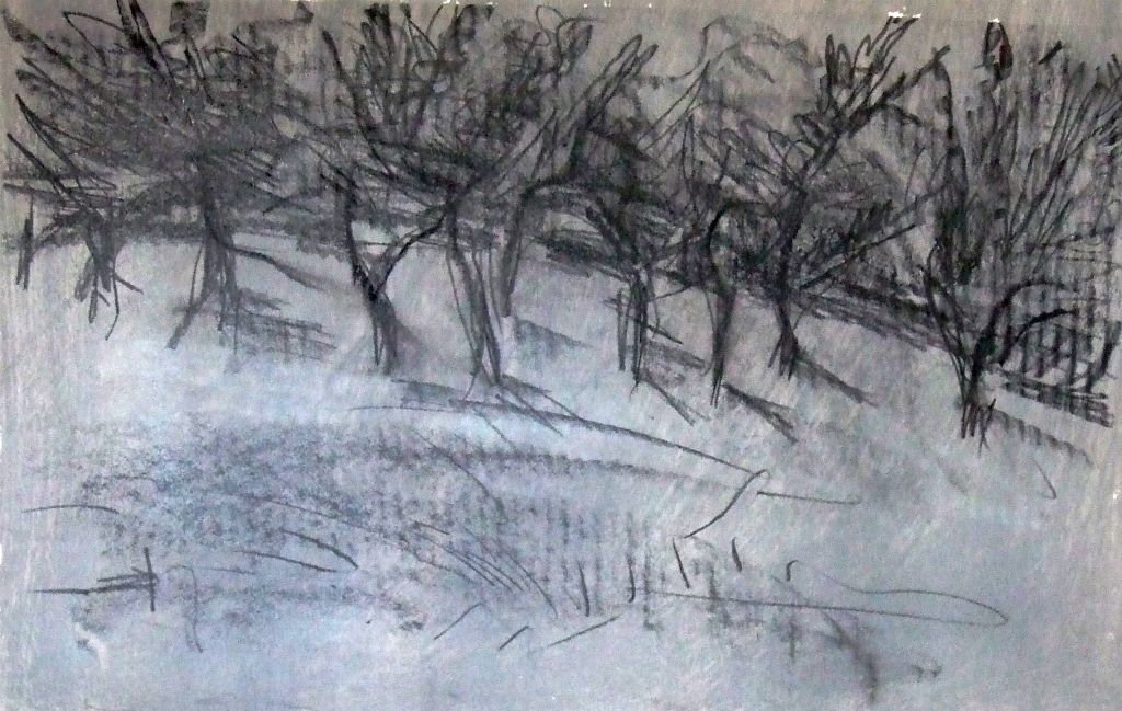 Nightime in the Olive Grove No. 1, chalk and charcoal on paper, 14"H x 20"W